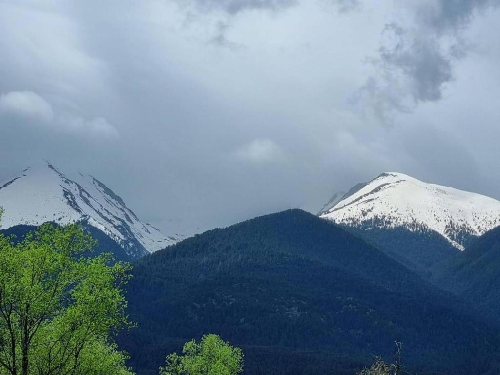 Vip Apartment Belvedere Club Bansko Dış mekan fotoğraf